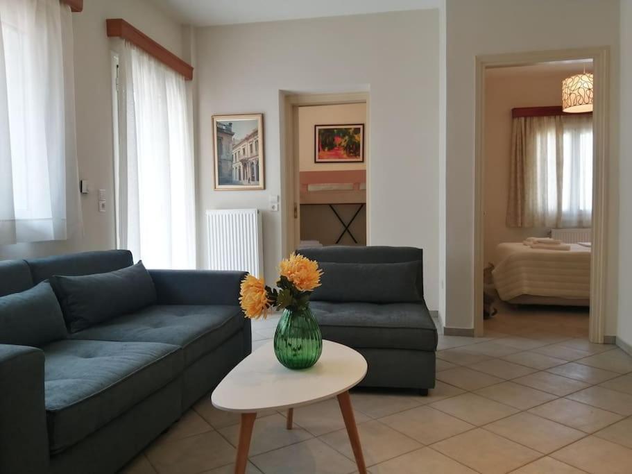 Three Elements Apartment Konitsa Exterior photo